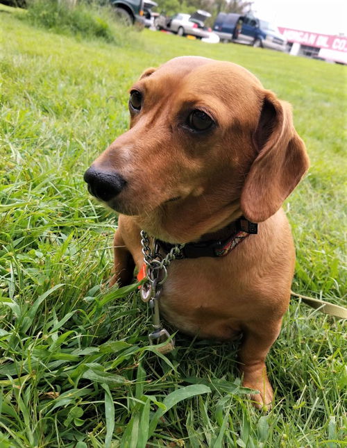 Rusty in PA