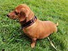 Rusty in PA