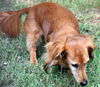 Molly#2 in KY