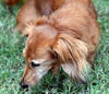 Molly#2 in KY