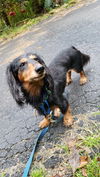 Toby in ND