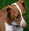 Olivia aka Ivy in FL