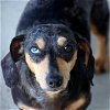 Blue in FL (a charmer who loves attention)