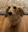 Tucker in NY