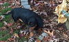 Tucker in VA