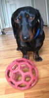Buster Brown