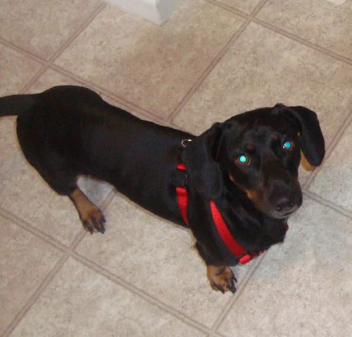 Murphy