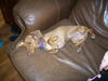 Molly6...MA