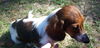 Toby, Jr.
