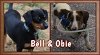 Bell & Obie in TN