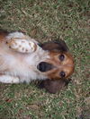 Toby, Sr....FL