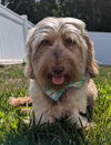 Marvin in NC (what a sweetie!)