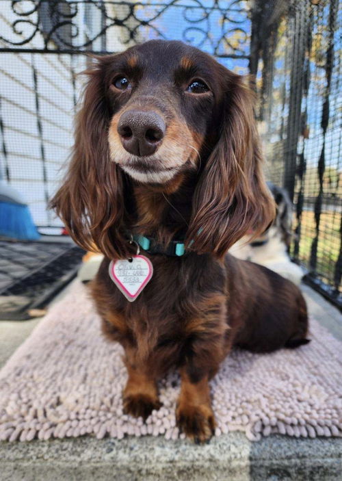 Olivia in TN