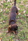 Olivia in TN