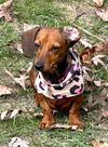 Gretta in TN (coming out of her shell)