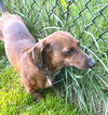 Max in MI