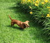 Jackson in TN