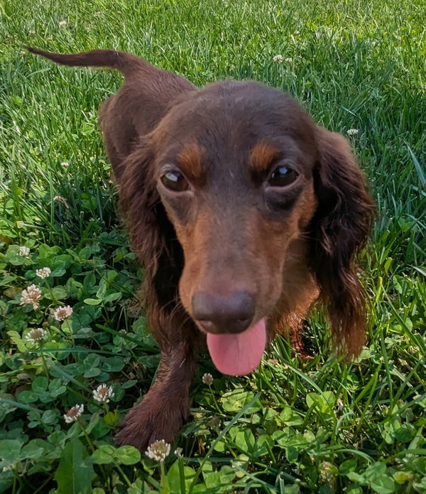 Lexie in TN