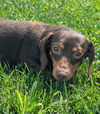 Starla in TN
