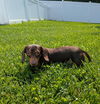 Starla in TN