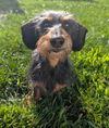 Charlie in TN