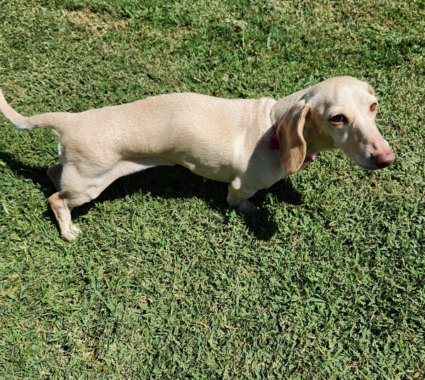 Luna in KY