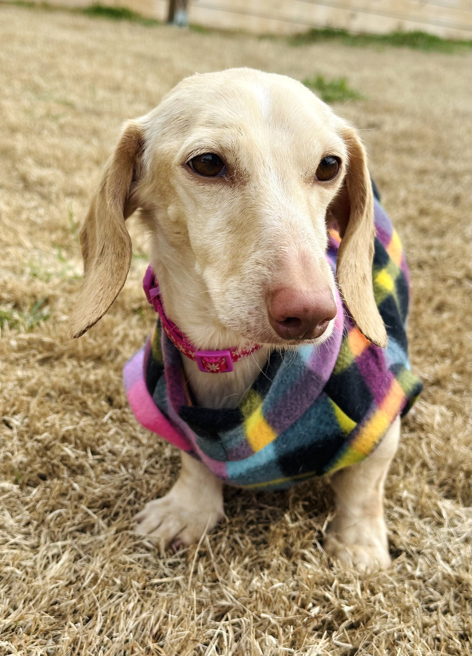 Luna in KY