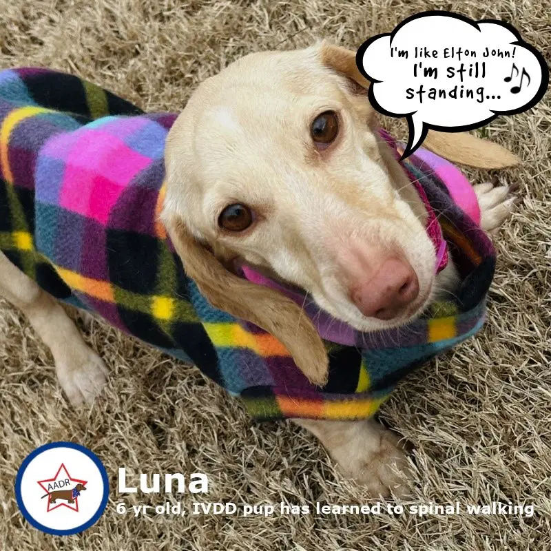 Luna In Ky image 4