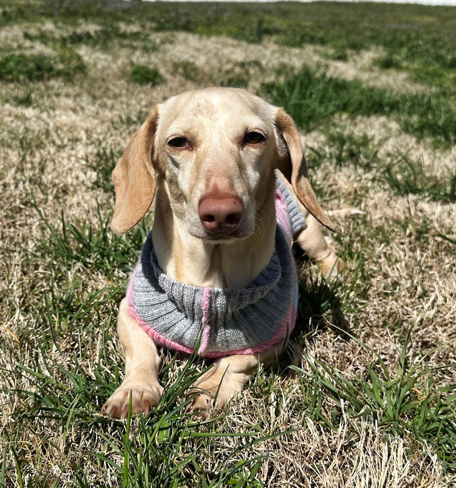 Luna in KY
