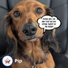 Pip in NC
