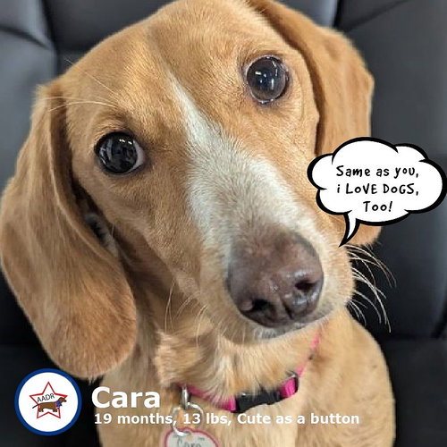 Cara in WI