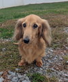 Frankie in TN