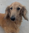 Frankie in TN