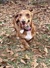 Sadie in SC