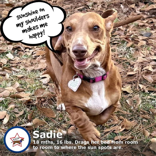 Sadie in SC
