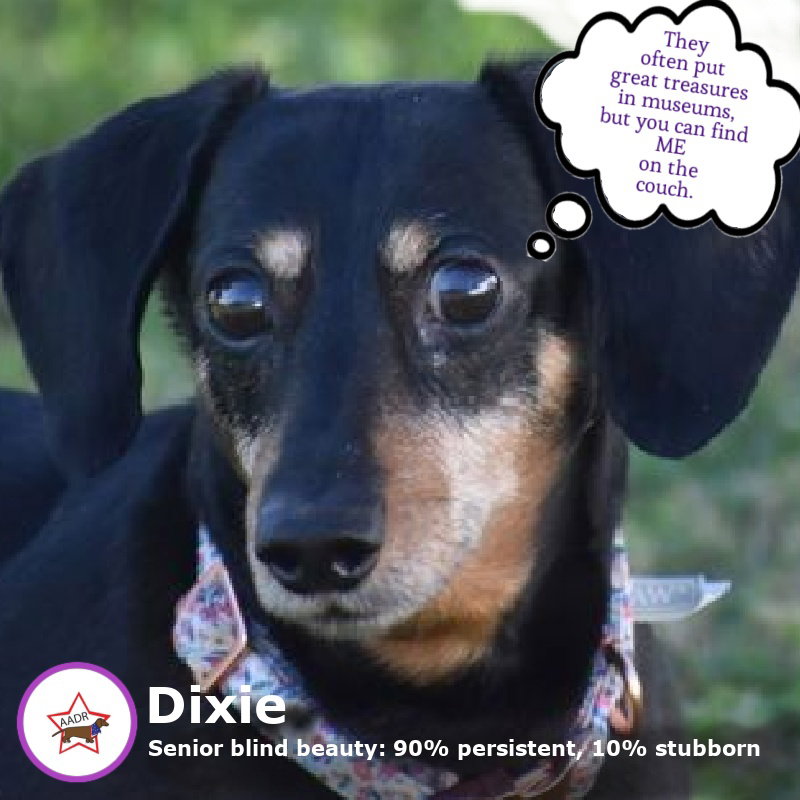 Dixie in TN
