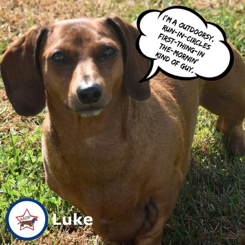 Luke in WI