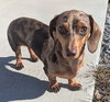 Daisy May in TN