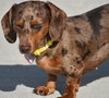 Daisy May in TN