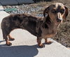 Daisy May in TN