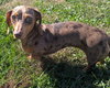 Daisy May in TN