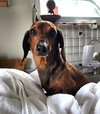 Samson in TN - Photo 11