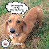 Glenna in MI