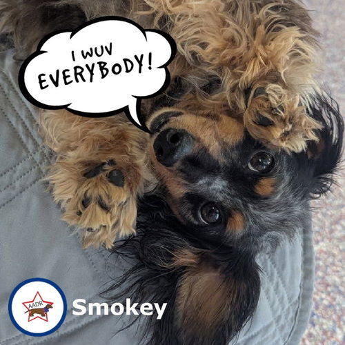 Smokey in TN