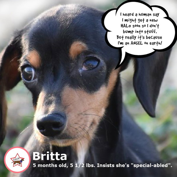 Britta in TN