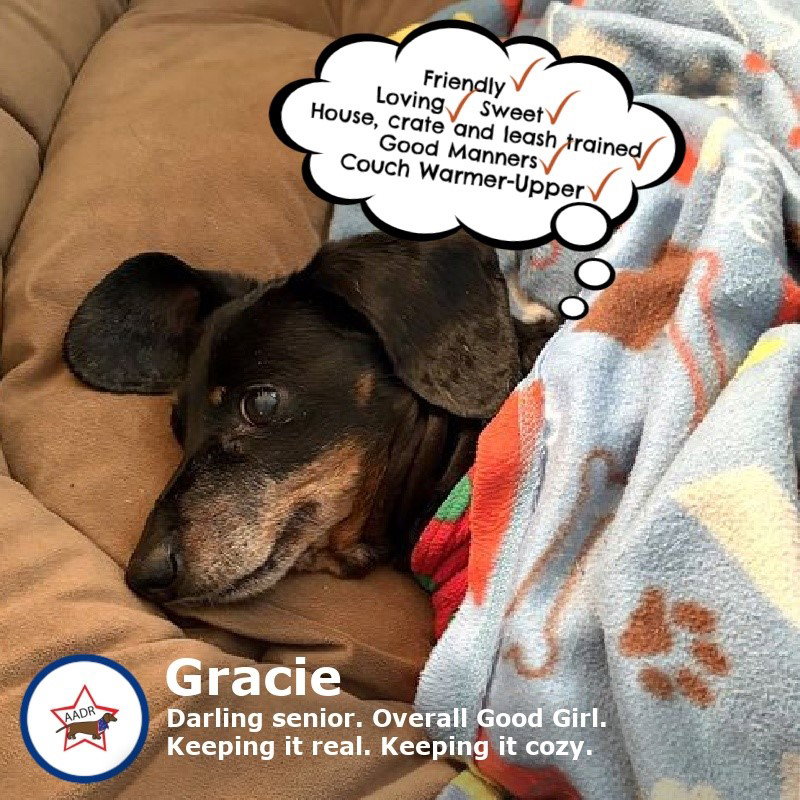 Gracie in TN