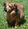 Giselle in TN