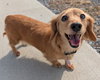 Stella in TN