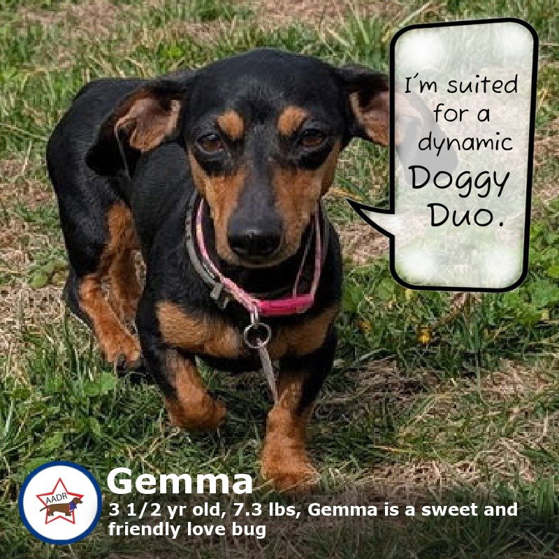Gemma in WI