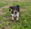 Rudy in TN (yes I'm a girl)